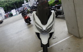 HONDA PCX 125 JF81
