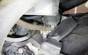 SUZUKI ADDRESS V100 2019 CE11A