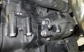 KAWASAKI Z900RS CAFE 2023