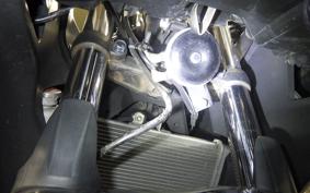 YAMAHA YZF-R25 1997 RG10J