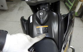 YAMAHA WR250X DG15J
