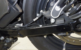 HARLEY XL883N 2018
