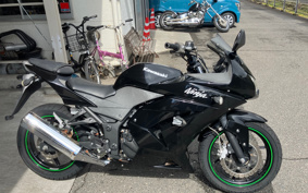 KAWASAKI NINJA 250R EX250K