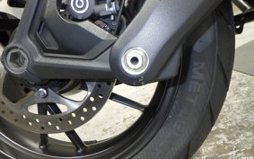 TRIUMPH TIGER1200GTEX 2024