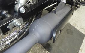 KAWASAKI W175A 2025