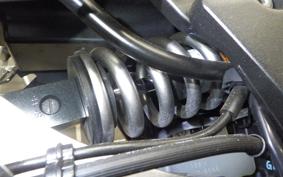 KAWASAKI NINJA 1000 2019 ZXT00W