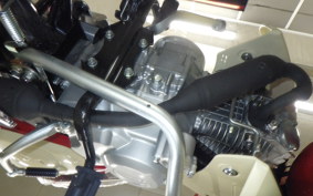 HONDA C110 SUPER CUB JA59