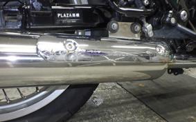KAWASAKI W800 STREET 2022 EJ800E