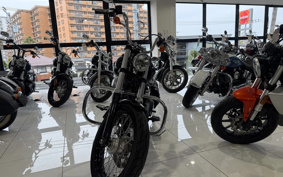 HARLEY FXDB1580 2015 GX4