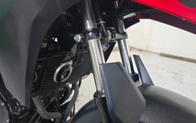 SUZUKI STROM 250 DS11A