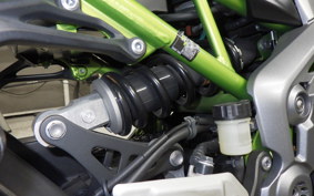 KAWASAKI Z900 Gen.2 2019 ZR900B