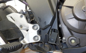 SUZUKI ジクサー250 SF ED22B