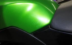 KAWASAKI Z300 2022