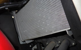 YAMAHA YZF-R25 A RG74J