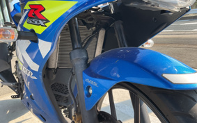 SUZUKI GSX-R125 ABS DL33B