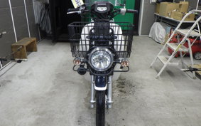 HONDA C110 SUPER CUB 2019 JA10