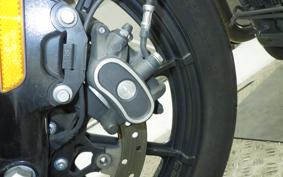 HARLEY XL1200NS 2018