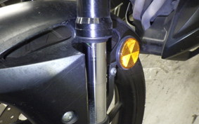 YAMAHA MT-25 A 2009 RG43J