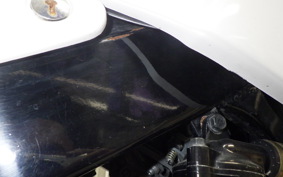 HONDA VT250FG 2022 MC15