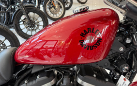 HARLEY XL883N 2019 LE2