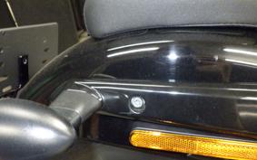 HARLEY RH975S 2024