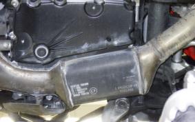 TRIUMPH TIGER 900 GT PRO 2024