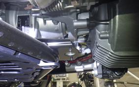 OTHER CAN-AMライカー600 2026