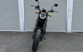 HARLEY X500 2024 W5B