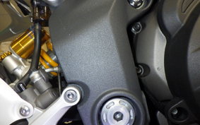 TRIUMPH SPEED TRIPLE RS 2022