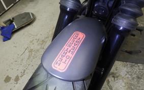 HARLEY XL883N 2017