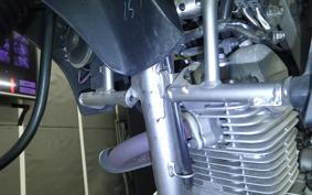 KAWASAKI KLX125 2024 LX125C