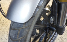 TRIUMPH SCRAMBLER400X 2024