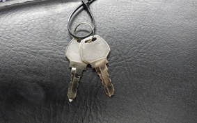 OTHER +UNREGISTERED MODEL by BDS1000 2025