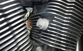 OTHER +ｳﾞｨｸﾄﾘｰｸﾛｽｶﾝﾄﾘｰ TOUR 2015