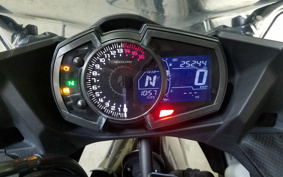 KAWASAKI NINJA 250 EX250P