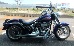 HARLEY FLSTF1340-1450 2007 BX5