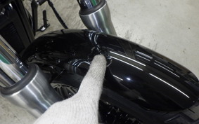 HARLEY FXST1750 2024