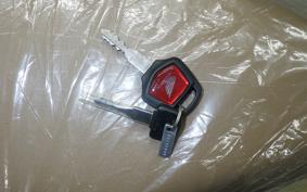 HONDA C110 SUPER CUB