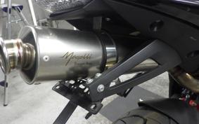 OTHER +ﾒｶﾞﾘ250R 2000