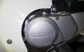 HONDA C50 SUPER CUB 2008 C50