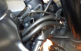 YAMAHA YZF-R7 2025