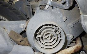 HONDA TODAY 2018 AF61