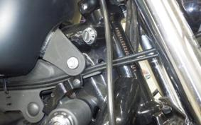 HARLEY XL883N 2018