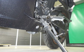 KAWASAKI NINJA 250R 2020 EX250K