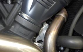 HARLEY ﾊﾟﾝ AMERICA1250ST 2025
