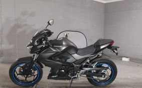 KAWASAKI Z250 ER250C