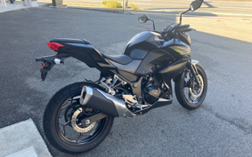 KAWASAKI Z250 ER250C