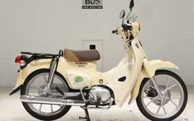 HONDA C110 SUPER CUB
