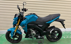 KAWASAKI Z125 PRO BR125H