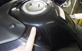 HONDA NT1100 2024 SC84